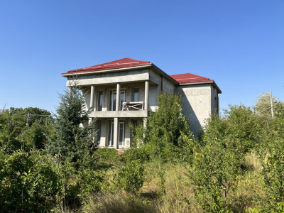 Vila de vânzare - Brănești