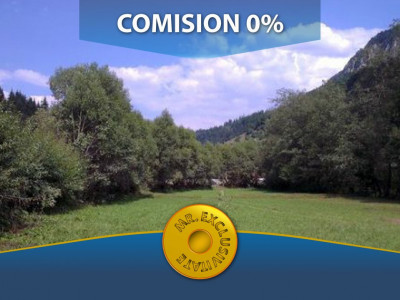 Comision 0% Teren intravilan Rucar - zona turistica