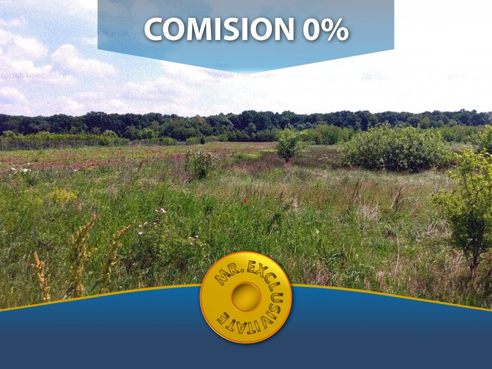 Comision 0% -Teren Cotmeana 1