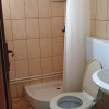 SPATIU COMERCIAL thumb 11