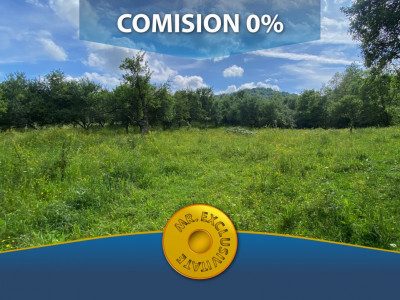 Comision 0%. Teren 4201 mp intravilan loc. Corbi, Jud. Arges
