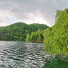 Cabana cu teren de 1700 mp, in padure, cu iesire la lac, in Paltinu, Ph thumb 19