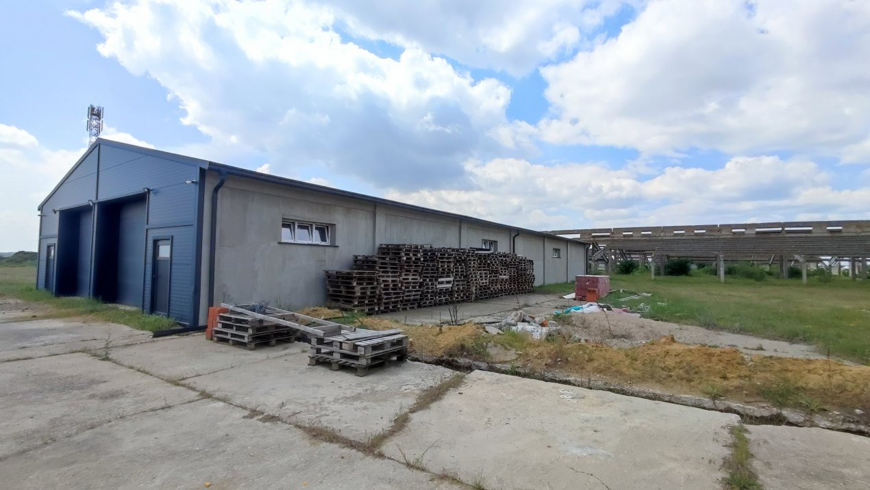 De Vânzare Fermă Pișcolt Teren 64.000 mp- Pișcolt SM - Comision 0% cumpărător