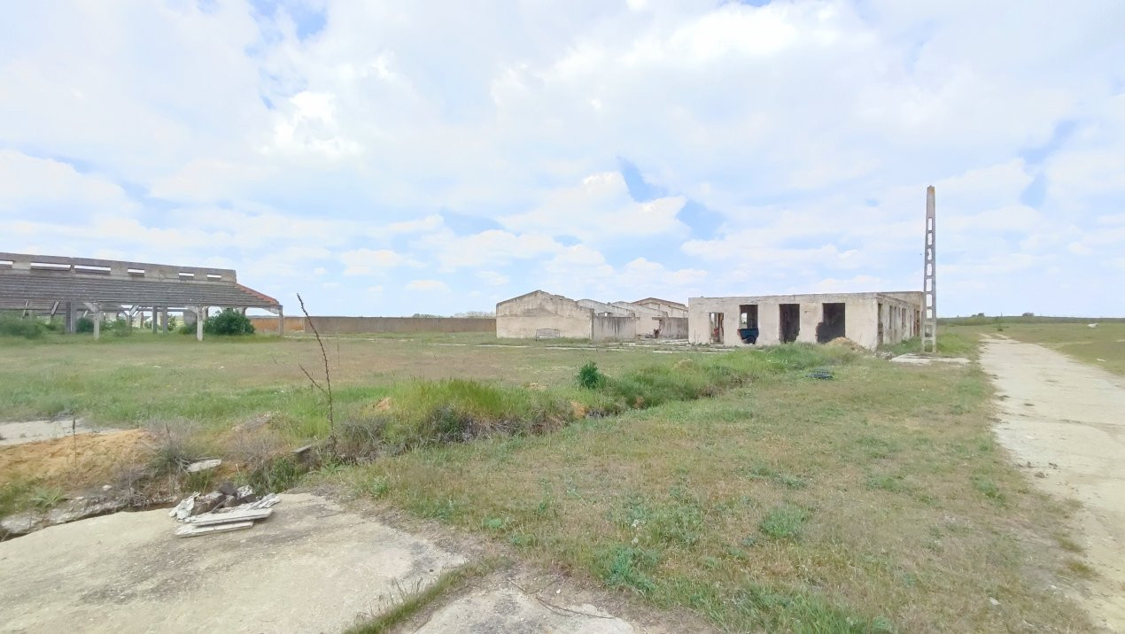 De Vânzare Fermă Pișcolt Teren 64.000 mp- Pișcolt SM - Comision 0% cumpărător