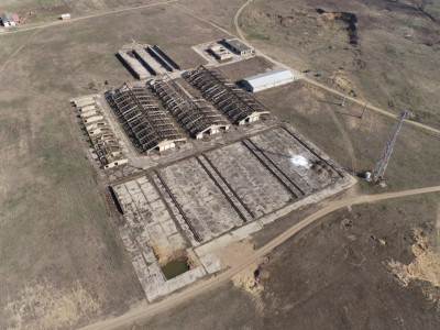 De Vânzare Fermă Pișcolt Teren 64.000 mp- Pișcolt SM - Comision 0% cumpărător