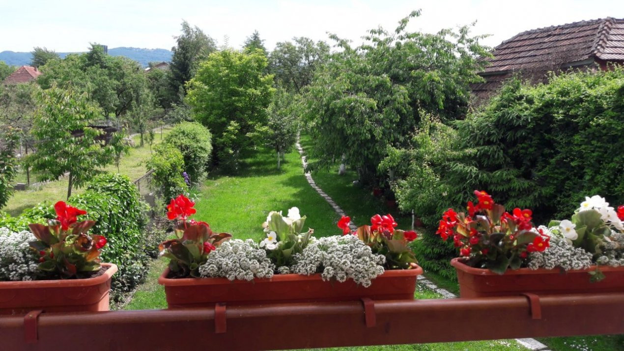 Casa de vanzare cu spatiu de recreere
