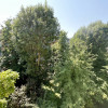 Apartament 3 camere Trivale etaj 3/4 + loc de parcare  thumb 13