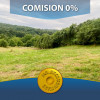 Comision 0%. Teren 3234 mp in zona de deal, Campulung Muscel, jud. Arges. thumb 1