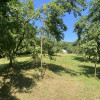 Gospodarie traditionala loc. Draghici, la 20 km de C-lung Muscel. Comision 0% thumb 11