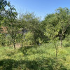 Gospodarie traditionala loc. Draghici, la 20 km de C-lung Muscel. Comision 0% thumb 15