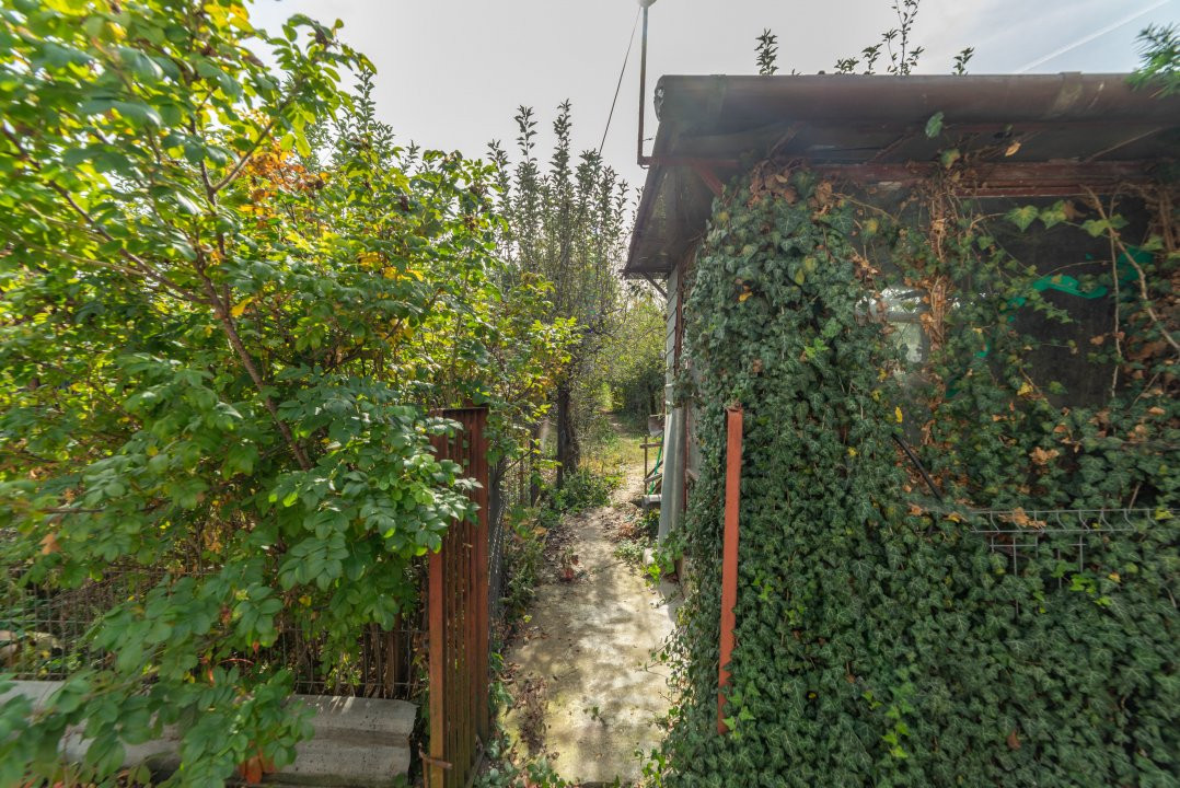 Casă P+1 cu livadă și teren generos, ideal pentru familie – Bascov DN