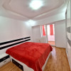 Inchiriere apartament 2 camere modern Fratii Golesti thumb 16