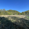 Teren intravilan/3893mp/Paltinul, Valea Doftanei thumb 8