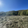 Teren intravilan/3893mp/Paltinul, Valea Doftanei thumb 7