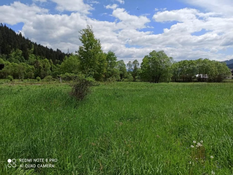 TEREN INTRAVILAN 4000 MP DE VANZARE - VATRA DORNEI