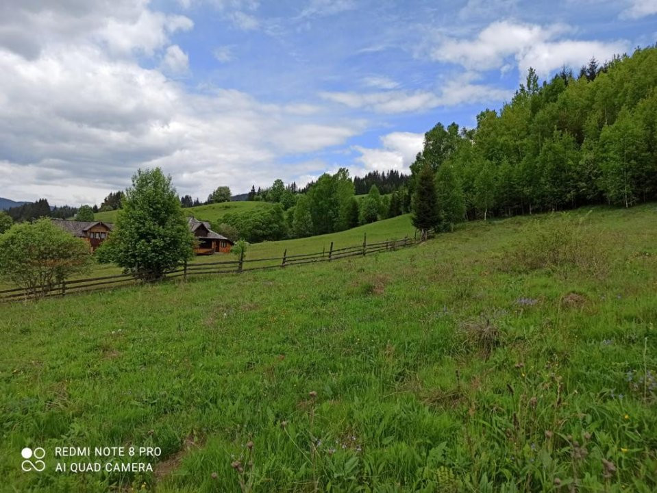 TEREN INTRAVILAN 4000 MP DE VANZARE - VATRA DORNEI