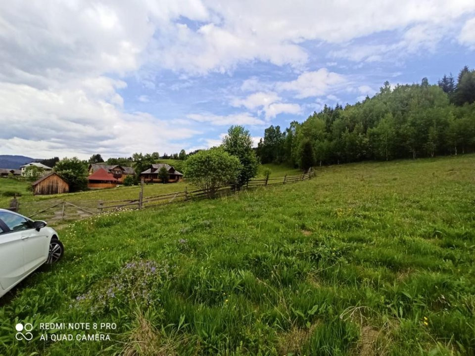 TEREN INTRAVILAN 4000 MP DE VANZARE - VATRA DORNEI