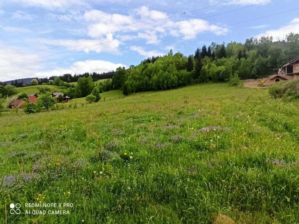 TEREN INTRAVILAN 4000 MP DE VANZARE - VATRA DORNEI