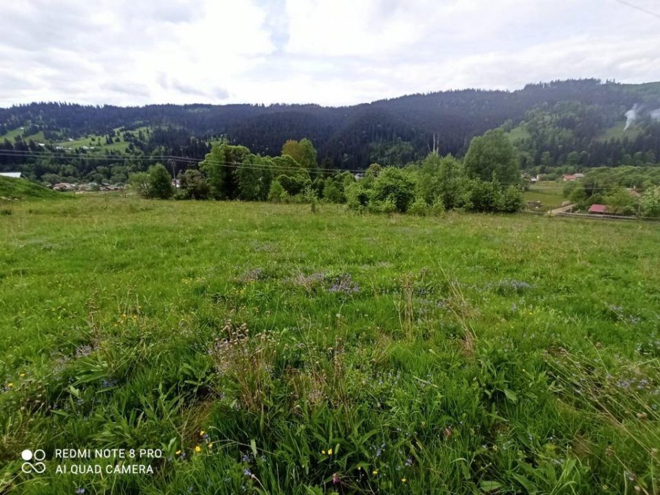 TEREN INTRAVILAN 4000 MP DE VANZARE - VATRA DORNEI