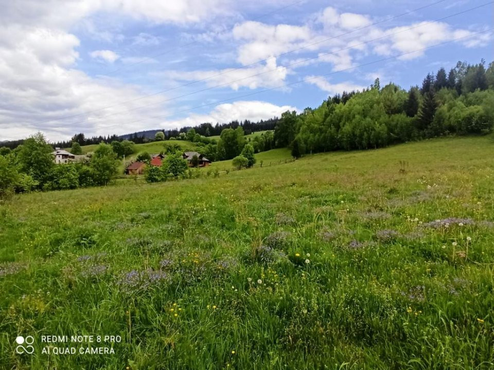 TEREN INTRAVILAN 4000 MP DE VANZARE - VATRA DORNEI