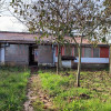 De vânzare Casă 5 camere P+1 Carei - Str.Agoșton - Comision 0% cumpărător thumb 13