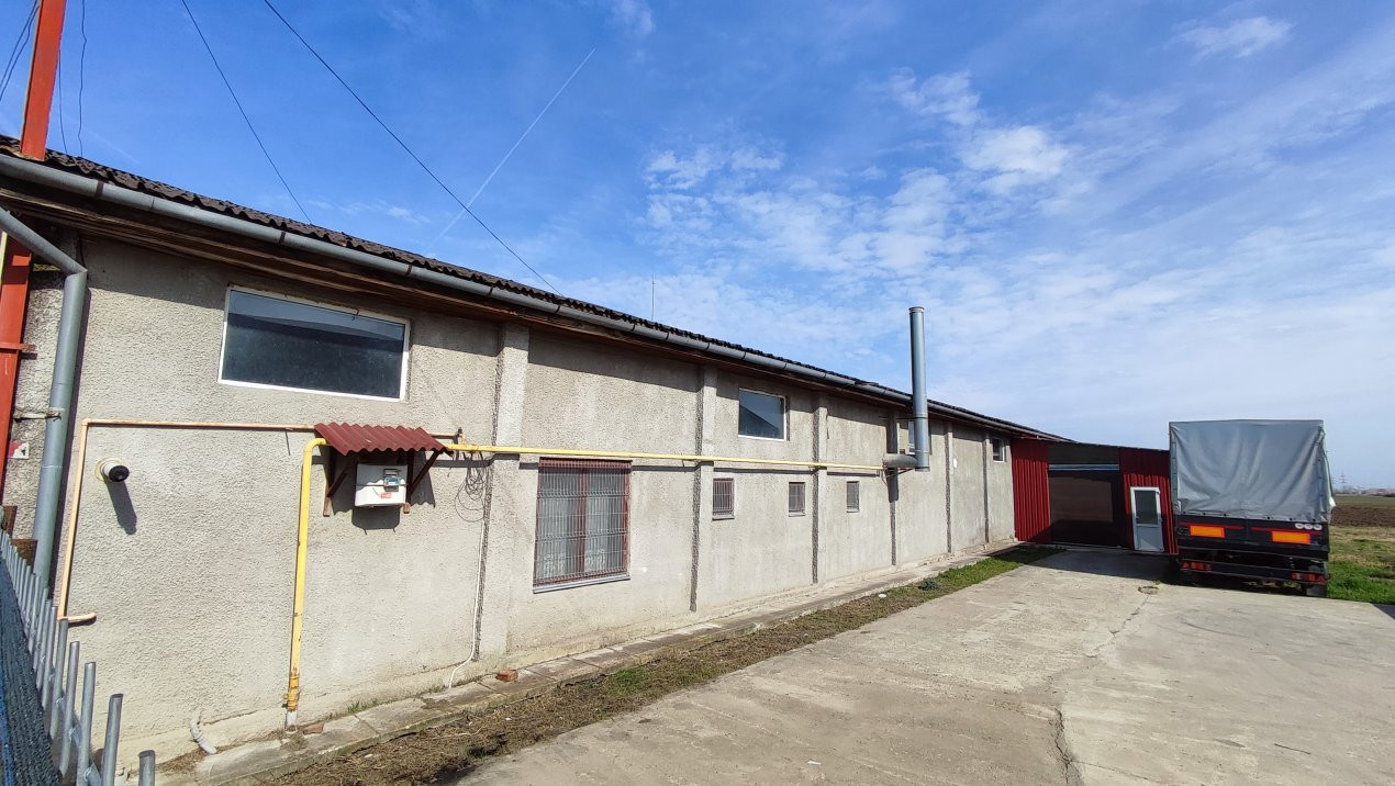 De Vânzare / Inchiriere 2 Hale Producție 978 mp- Carei - Comision 0% cumpărător