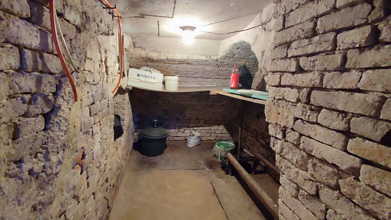 De vânzare Casă 2 camere cu Teren 1323 mp, 2 fronturi - Grădina Viilor - Carei