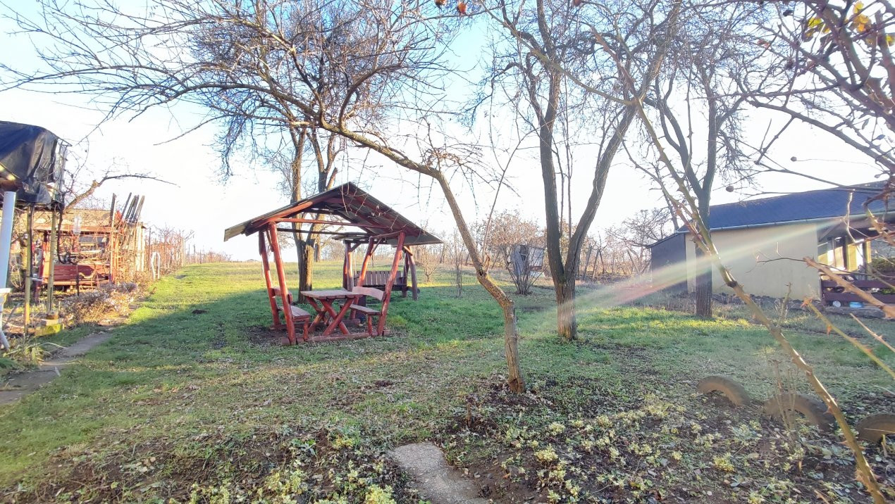 De vânzare Casă 2 camere cu Teren 1323 mp, 2 fronturi - Grădina Viilor - Carei
