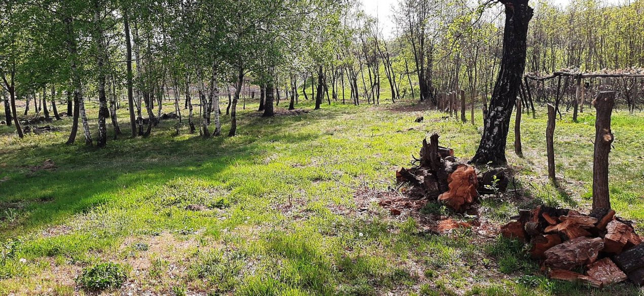 TEREN INTRAVILAN BAIA DE FIER