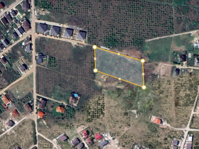 Teren 7200mp Mogosoaia - Oportunitate de investitie!