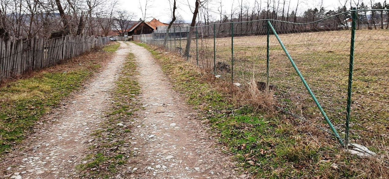 TEREN INTRAVILAN POLOVRAGI STRADA DROMICHETE