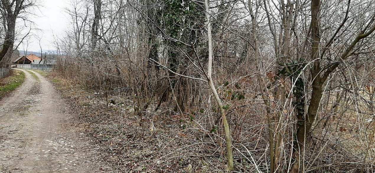 TEREN INTRAVILAN POLOVRAGI STRADA DROMICHETE