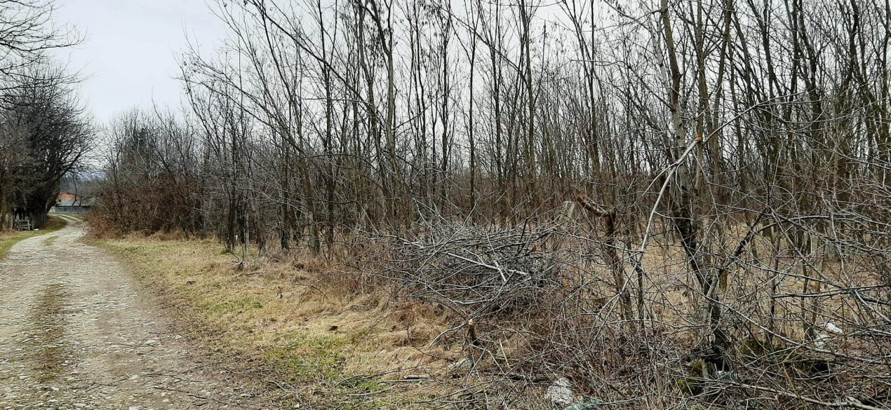 TEREN INTRAVILAN POLOVRAGI STRADA DROMICHETE
