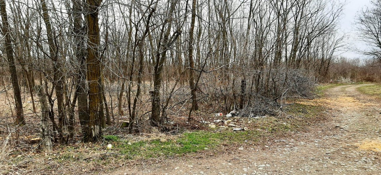 TEREN INTRAVILAN POLOVRAGI STRADA DROMICHETE