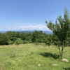 Teren 5478 mp zona de deal Valea Mare Pravat, langa C-LUNG MUSCEL. Comision 0% thumb 8