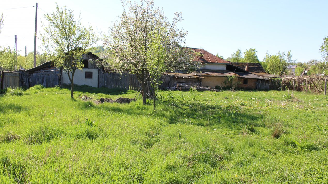 Casa la tara  com .Dragutesti