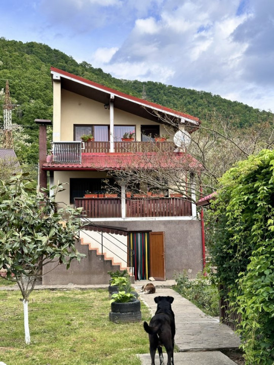 Casa de vacanta sau rezidentiala-cu iesire la Dunare