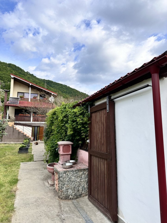 Casa de vacanta sau rezidentiala-cu iesire la Dunare