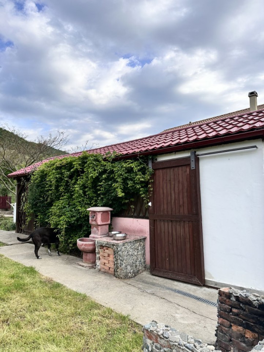 Casa de vacanta sau rezidentiala-cu iesire la Dunare