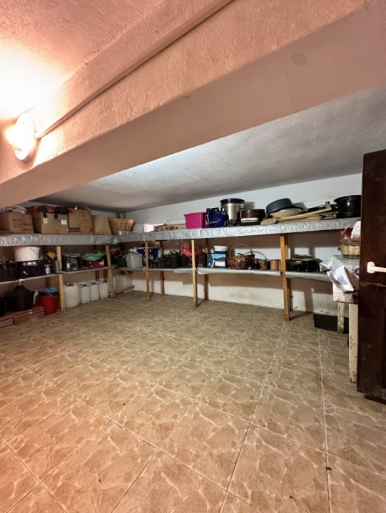 Casa de vacanta sau rezidentiala-cu iesire la Dunare