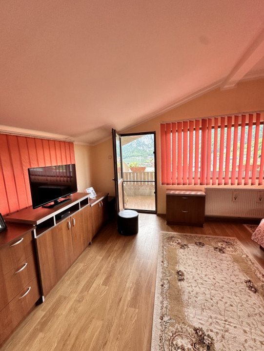 Casa de vacanta sau rezidentiala-cu iesire la Dunare