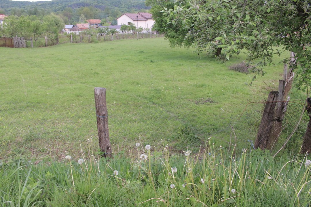 Teren inchiriere sau vanzare