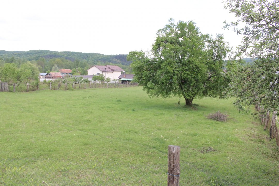 Teren inchiriere sau vanzare