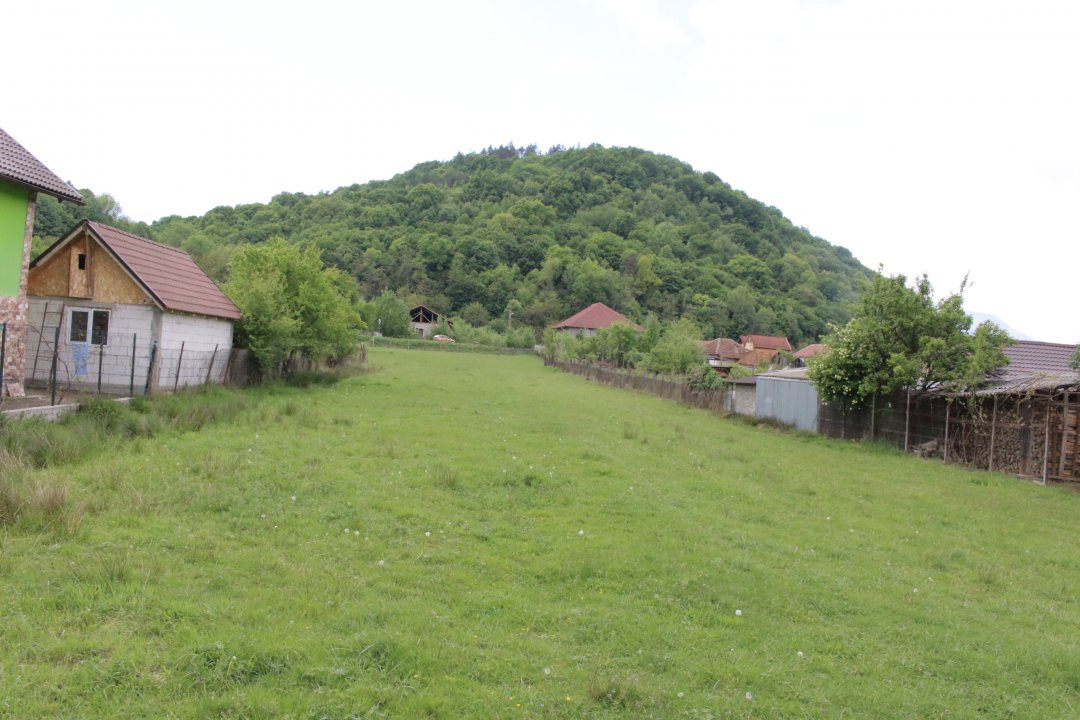 Teren inchiriere sau vanzare
