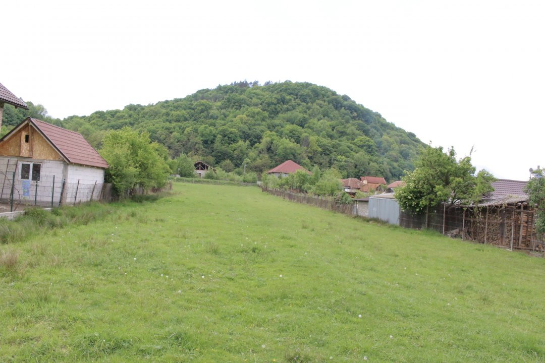 Teren inchiriere sau vanzare