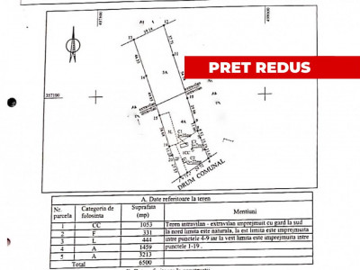 Teren 6500 mp cu utilitati, loc. Suseni, jud. Arges. Comision 0%