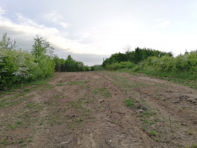 Teren 2000 mp intravilan Smeura-Mosoaia. Comision 0%