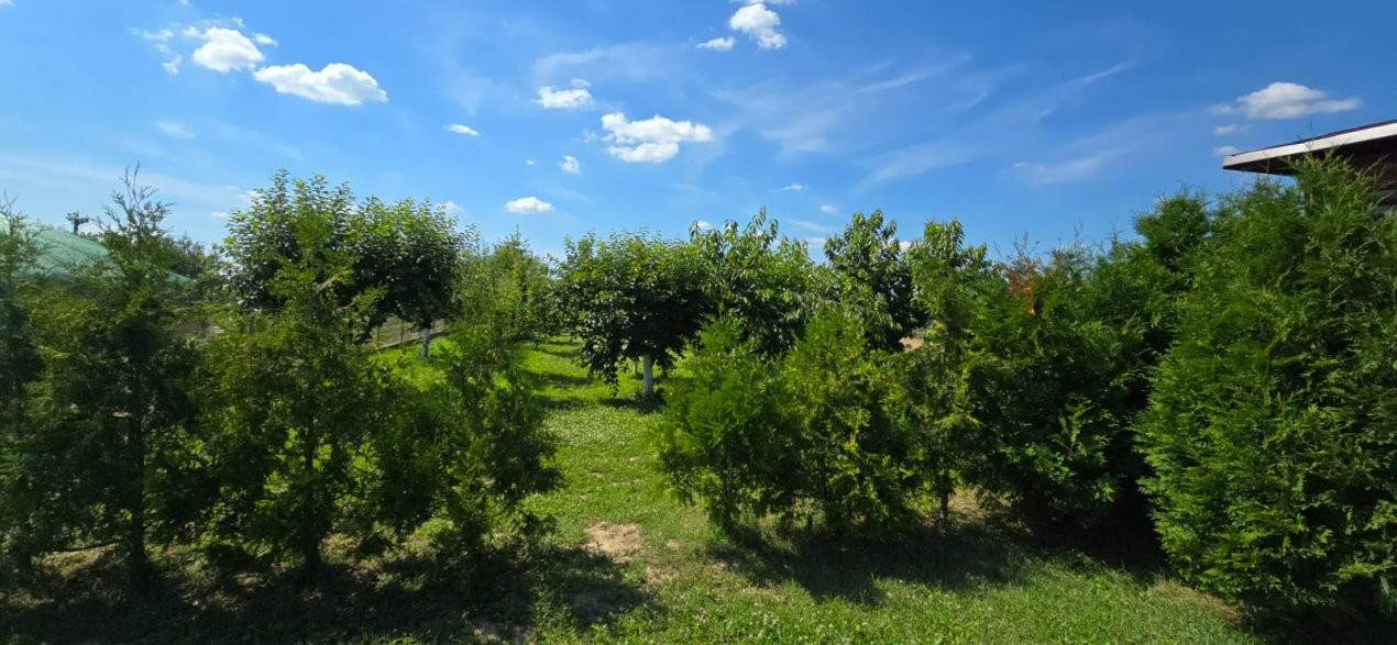 Casaă modernă 4 camere , COMISION 0%