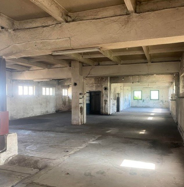 Hala industrială cu multiple facilități de vânzare în localitatea Agriș