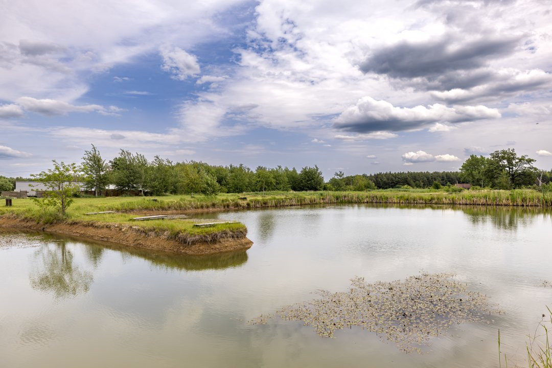 Afacere complexa: motel, camping, piscina, lacuri pentru pescuit, terase-parcare